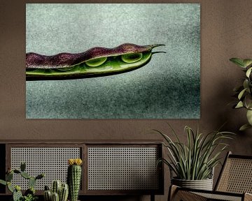 Bonen van artpictures.de