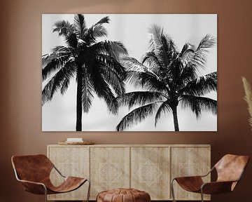 Tropical Palms van Walljar