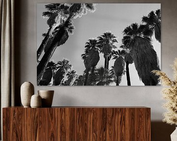 Palmbomen Met Trossen van Walljar