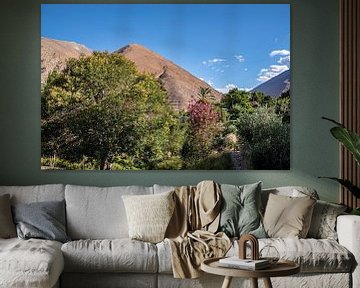 Oasis fleurie dans la vallée de l'Elqui sur Thomas Riess