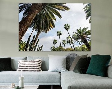 Palmbomen Onderaanzicht van Walljar