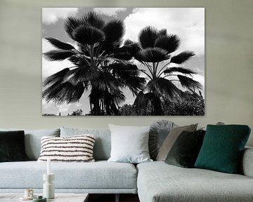 Grote Bladeren Palmbomen van Walljar