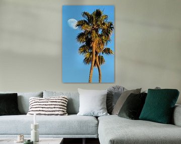 Palmbomen En Maan van Walljar