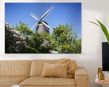 Windmill, Woldegk, Mecklenburg-Western Pomerania