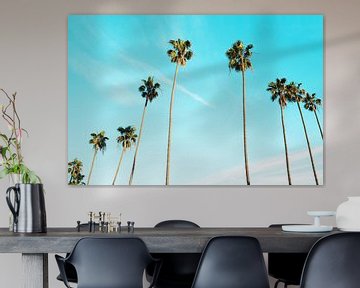 Row of Palm Trees II