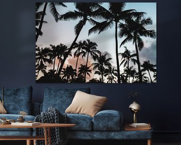 Palmbomen Lichte Lucht