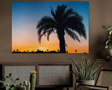 Silhouet Palmbomen II van Walljar
