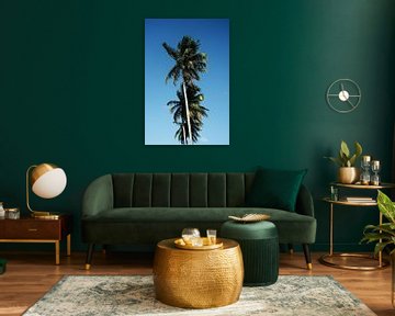 Palm Paradise by Walljar