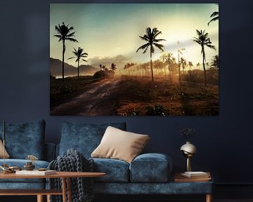 Palms And Sunlight III van Walljar