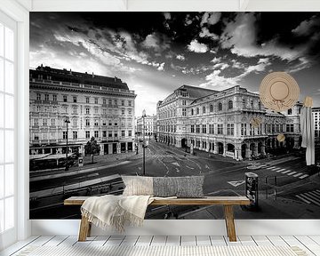 The old town of Vienna by Rene Siebring