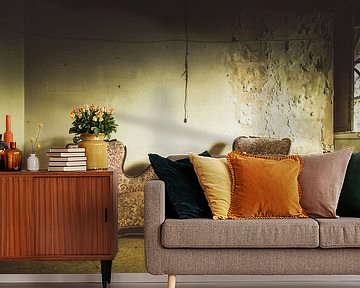 Vergeten sofa van Truus Nijland