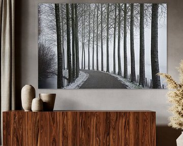 Straße in verschneiter Landschaft von Niek van Vliet