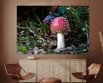 Mushroom by Niek van Vliet