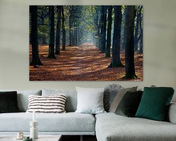 Forêt en automne sur Niek van Vliet