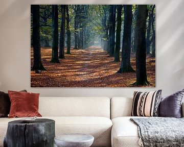 Forêt en automne sur Niek van Vliet