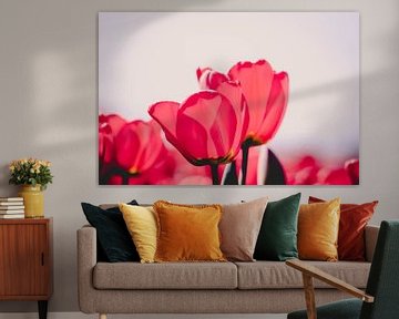 Tulpen von Knowhere Art