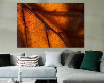 Macro van herfstblad in zonlicht van Mark Scheper