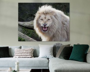 Ein aggressiv aussehende weiße Löwe von Edwin Butter