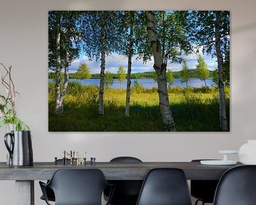 Berkenbosje aan een meer in Zweden van Thomas Zacharias