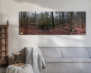 Panorama tussen beek en bos van Gerard de Zwaan