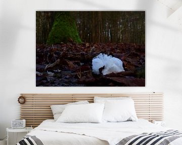 Ice hair on the forest floor