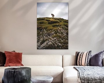 La vache des Alpes sur The Wild Scribe Prints