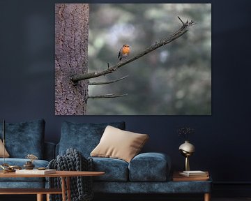 Robin on a branch in the woods by Anges van der Logt