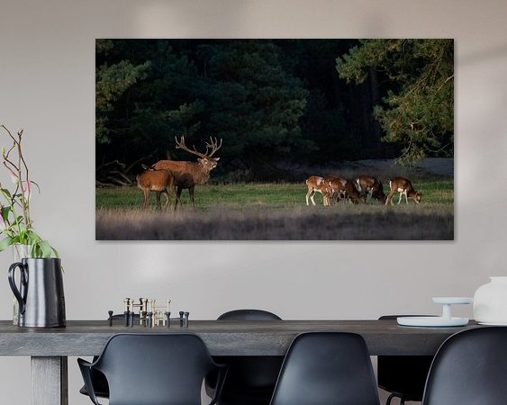 Aperçu de la chambre