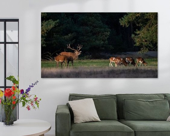 Aperçu de la chambre