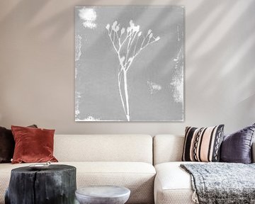 Moderne abstrakte minimalistische botanische Kunst. Weiße Pflanze oder Blume auf Grau im Retro-Stil von Dina Dankers
