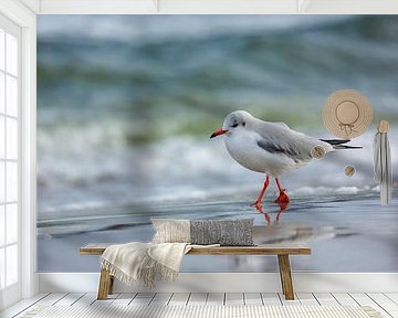 Beach walk by Daniela Beyer
