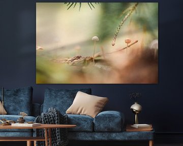 Herbstbild mit Pilzen von KB Design & Photography (Karen Brouwer)