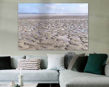 Ameland, het Wad van Hermineke Pijls