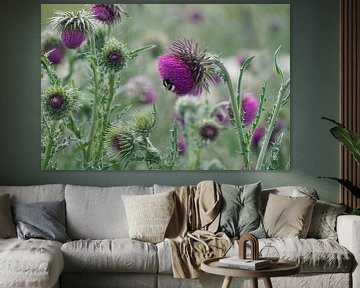 Small bumblebee on thistle flower by Herman Peters