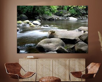 The river Bode near Thale in the Harz Mountains by Heiko Kueverling