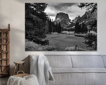 Wyoming Forest