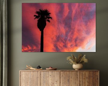 Palmbomen En Roze Wolken van Walljar