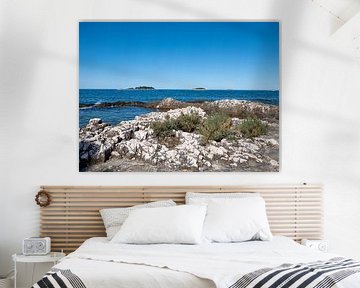 op het strand van Vrsar in Istrië Kroatië van Animaflora PicsStock