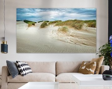 zeereep met zand en duinen langs de kust