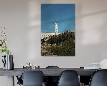De vuurtoren van de Alcatraz gevangenis in San Francisco | Reisfotografie | Californië, U.S.A. van Sanne Dost