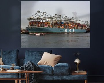 Containerschip Mol Truth afgemeerd aan de  Maasvakte van scheepskijkerhavenfotografie