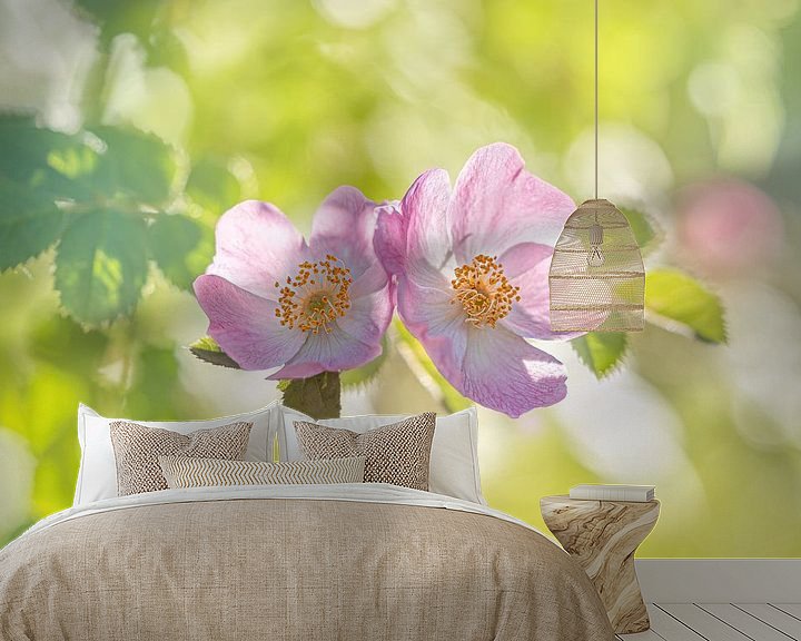 Sfeerimpressie behang: Roze rozen in het groen van Kyle van Bavel