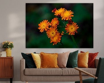 #Flowers by Hannie Berkers-Looijmans