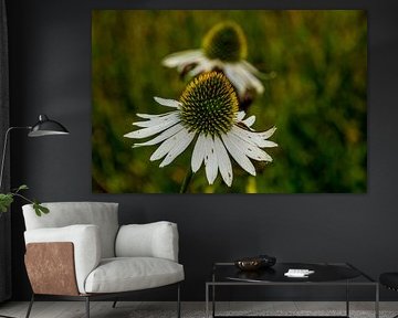 #Flowers by Hannie Berkers-Looijmans