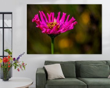 #Flowers by Hannie Berkers-Looijmans