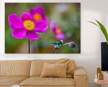 #Flowers by Hannie Berkers-Looijmans