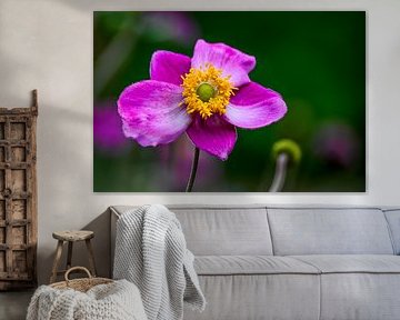 #Flowers by Hannie Berkers-Looijmans