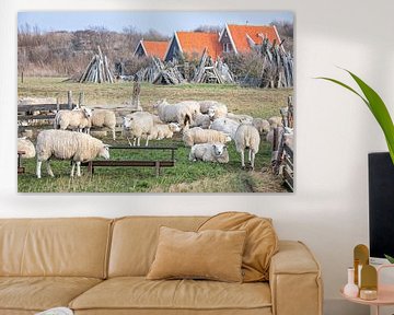 Moutons sur Texel. sur Justin Sinner Pictures ( Fotograaf op Texel)