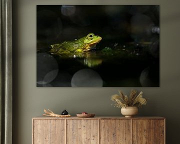 Green frog in black waters by Elles Rijsdijk