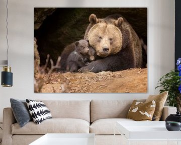 Famille d'ours bruns sur Dieter Meyrl